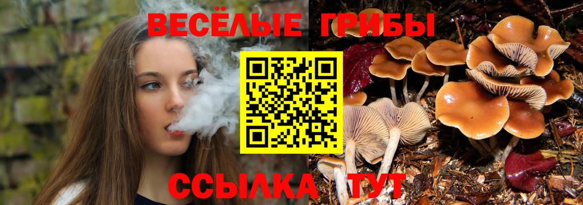 Галлюциногенные грибы ЛСД Алексин