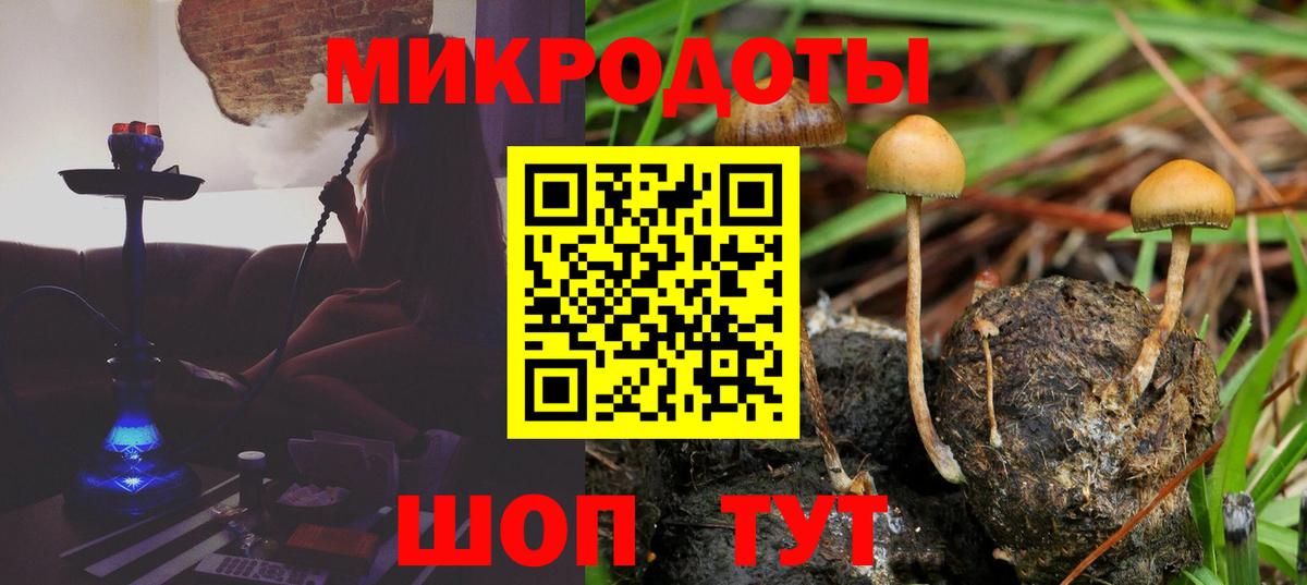 Псилоцибиновые грибы Psilocybine cubensis  Псилоцибиновые грибы Magic Shrooms  Алексин  Вход с VPN 
