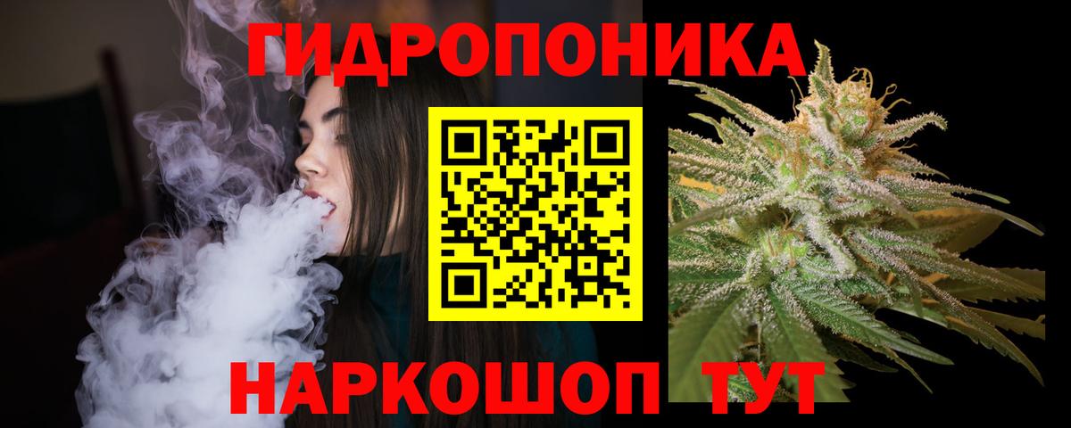 Бошки Шишки Ganja  Канабис планчик  Вход с VPN  Алексин  Конопля VHQ  Канабис Bruce Banner 